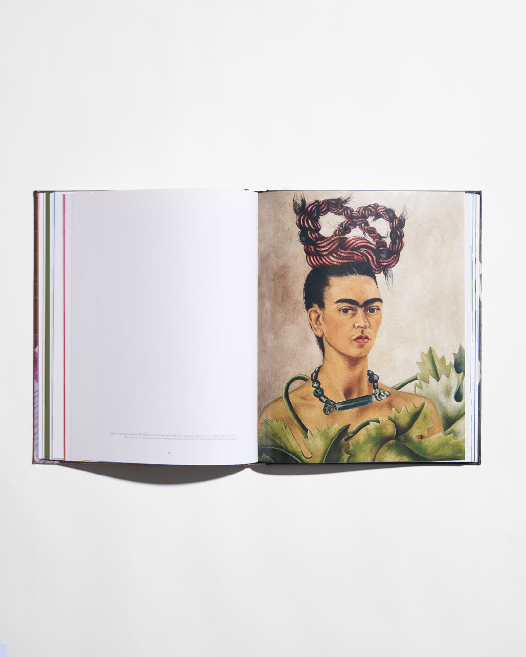 Frida & Diego: Love & Revolution