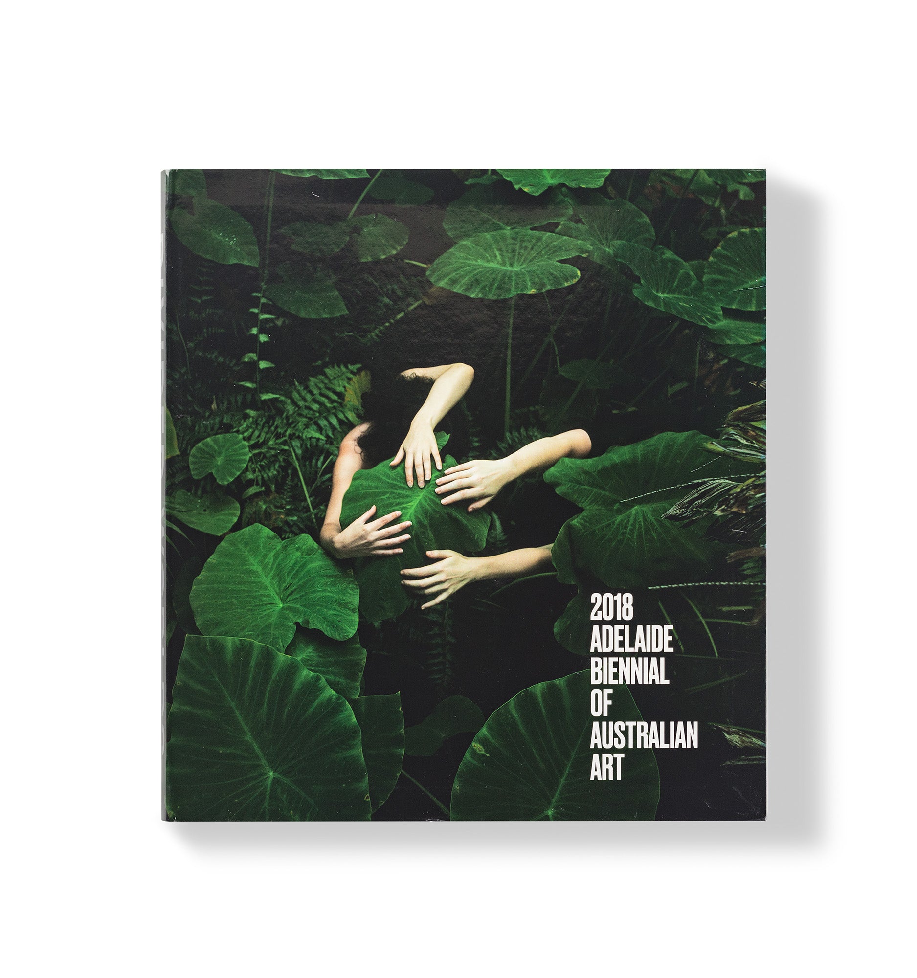 2018 Adelaide Biennial Divided Worlds Exhibition Catalogue