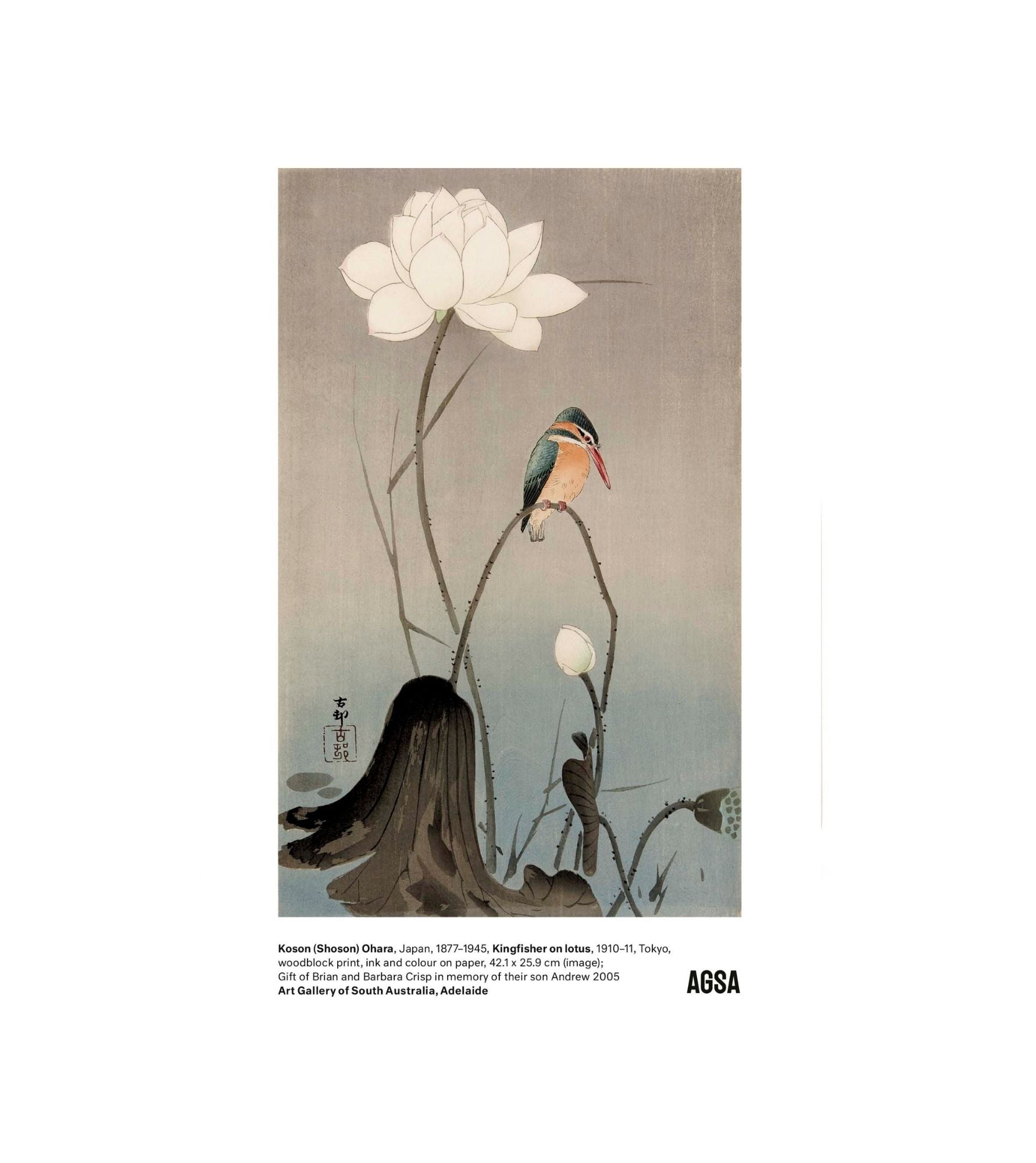 Kingfisher on lotus by Koson (Shoson) Ohara - A5 print