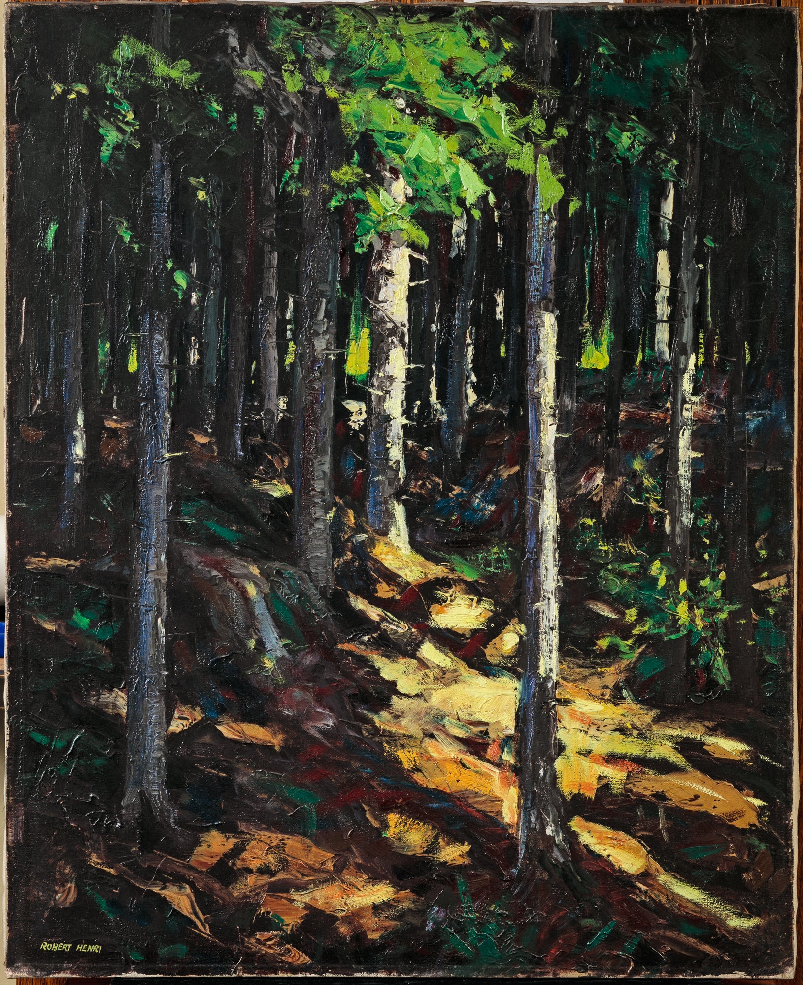 Cathedral Woods, Monhegan Island by Robert Henri - Reproduction