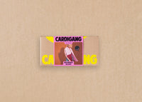 CARDIGANG Beginner Scarf