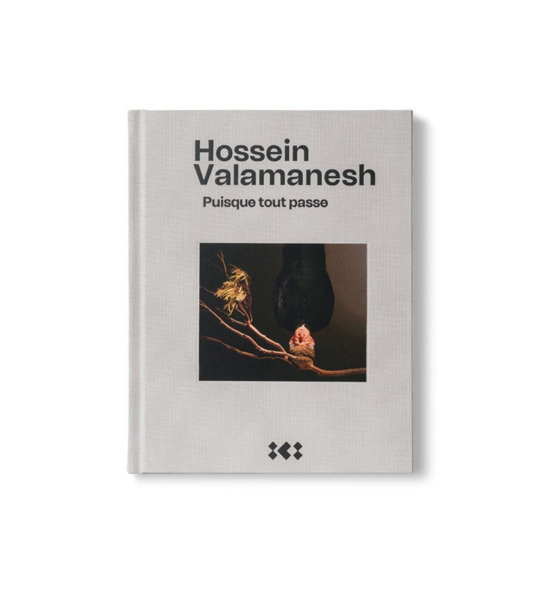 Hossein Valamanesh Puisque tout passe